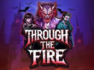 Through the Fire thumbnail
